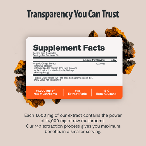 Chaga Mushroom Extract Capsules
